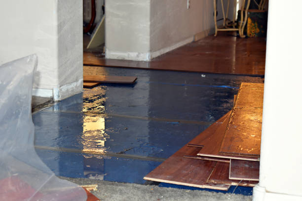 Professional Basement Water Removal technician working in Somerville, TX