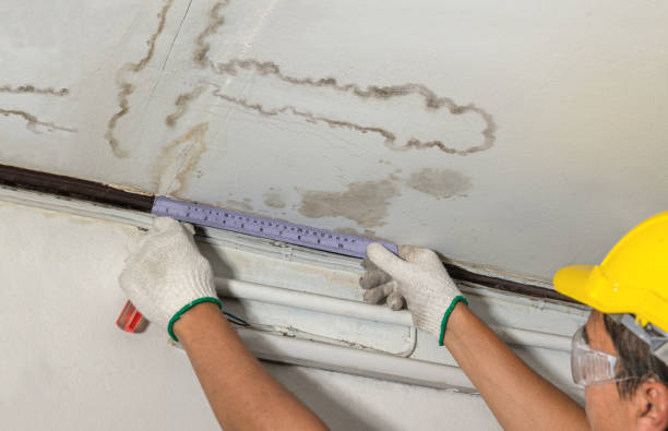 Reliable Basement Water Removal contractor in Somerville, TX by Water Damage Irwin